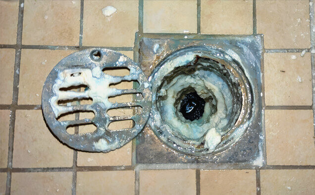 https://blockeddrainskewdale.com.au/uploads/2025/07/blocked-shower-drains-33151.jpg
