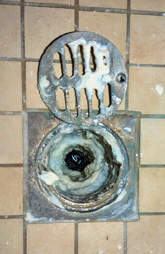 https://blockeddrainskewdale.com.au/uploads/2025/07/blocked-shower-drains-86331.jpg