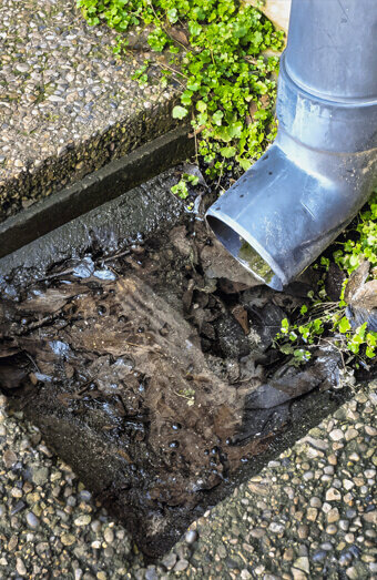https://blockeddrainskewdale.com.au/uploads/2025/07/hero-blocked-sewers-20143.jpg