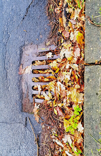 https://blockeddrainskewdale.com.au/uploads/2025/07/stormwater-drains-48051.jpg
